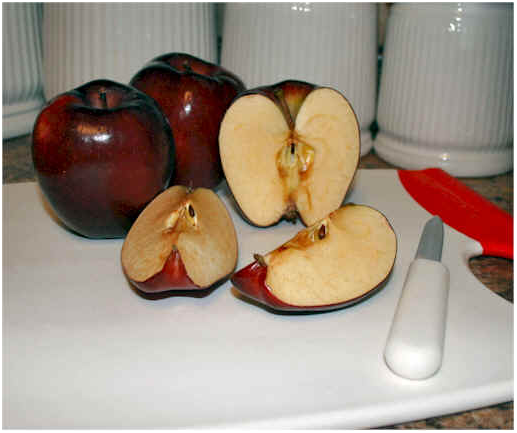 reaksi pencoklatan enzimatis  reaksi browning pdf  proses browning pada apel  reaksi pencoklatan enzimatis pada apel  oksidasi pada apel  susu uht adalah pengawetan secara  apakah asam basa atau air dapat menghentikan aktivitas enzim pada apel?  reaksi maillard